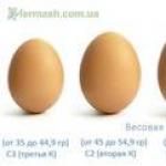 अंडी वजन. अंड्याचे वजन किती असते?